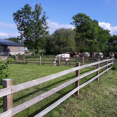 Вилла Roulotte A La Ferme Buissonniere La Lande-de-Louge Экстерьер фото